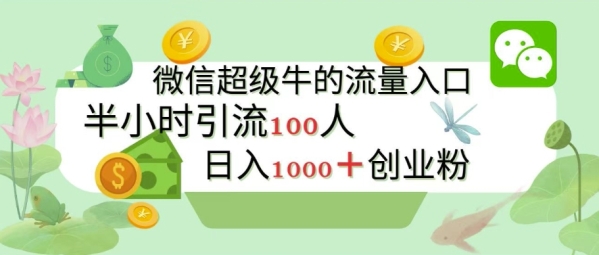 新的引流变现阵地，微信超级牛的流量入口，半小时引流100人，日入1000+创业粉 - 163资源网-163资源网