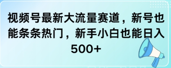 视频号最新大流量赛道，新号也能条条热门，新手小白也能日入5张 - 163资源网-163资源网