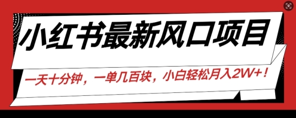 小红书最新风口项目，一天只用10分钟，一单几百块，小白简单无脑操作! - 163资源网-163资源网