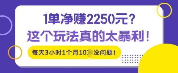 1单净入2250?这个玩法真的太暴利，每天3小时1个月10个没问题! - 163资源网-163资源网