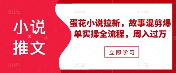 小说推文之蛋花小说拉新，故事混剪爆单实操全流程，周入过万 - 163资源网-163资源网