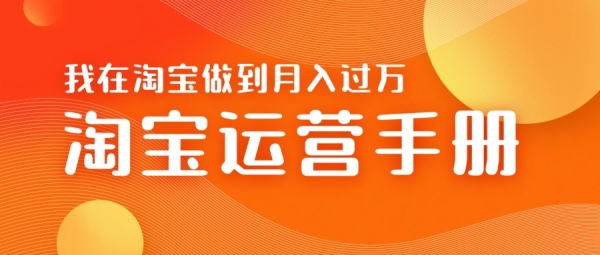 淘宝运营教学手册在淘宝卖这个品可以让你做到日入几张+新手小白轻松上手 - 163资源网-163资源网