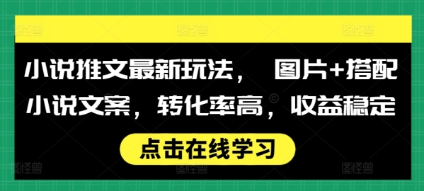 小说推文最新玩法， 图片+搭配小说文案，转化率高，收益稳定 - 163资源网-163资源网