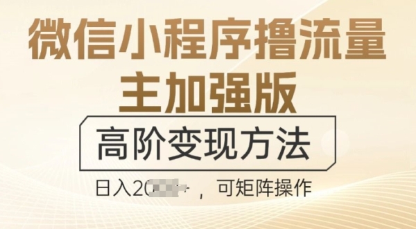 微信小程序撸流量主加强版，高阶变现方法，日收益多张 - 163资源网-163资源网