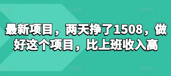 最新项目，两天挣了150，做好这个项目，比上班收入高 - 163资源网-163资源网