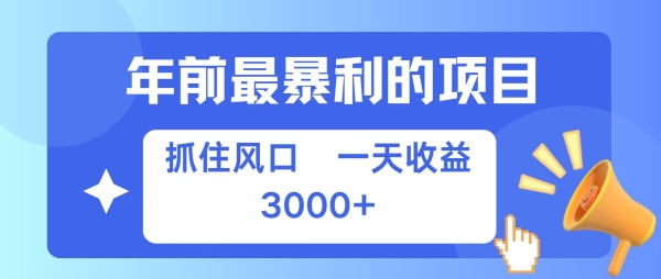 年前最暴利的项目之一，抓住风口，一天收益上k，可以过个肥年 - 163资源网-163资源网