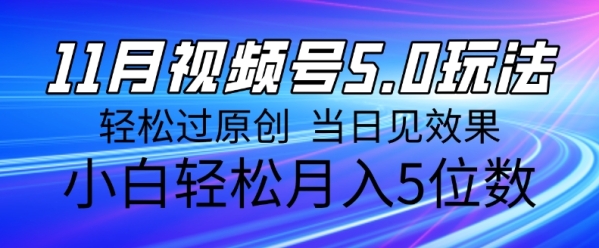 11月最新视频号5.0玩法，轻松过原创，当日见效果，小白轻松月入5位数 - 163资源网-163资源网