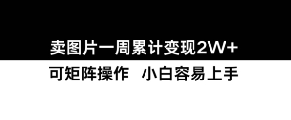 小红书【卖图片】一周累计变现2W+小白易上手 - 163资源网-163资源网