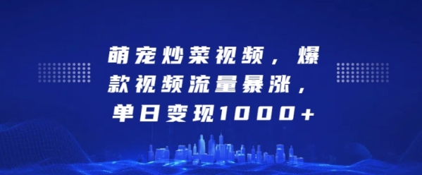 萌宠炒菜视频，爆款视频流量暴涨，单日变现1k - 163资源网-163资源网