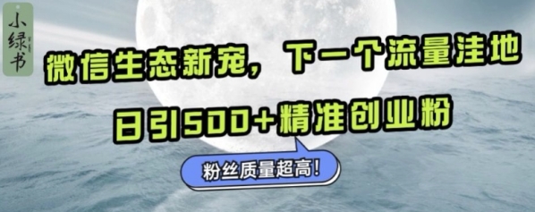 微信生态新宠小绿书：下一个流量洼地，日引500+精准创业粉，粉丝质量超高 - 163资源网-163资源网