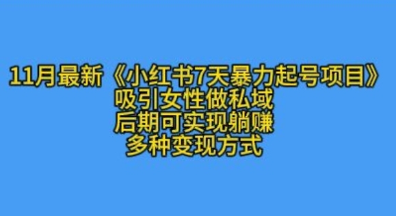 K总部落11月最新小红书7天暴力起号项目，吸引女性做私域【揭秘】 - 163资源网-163资源网