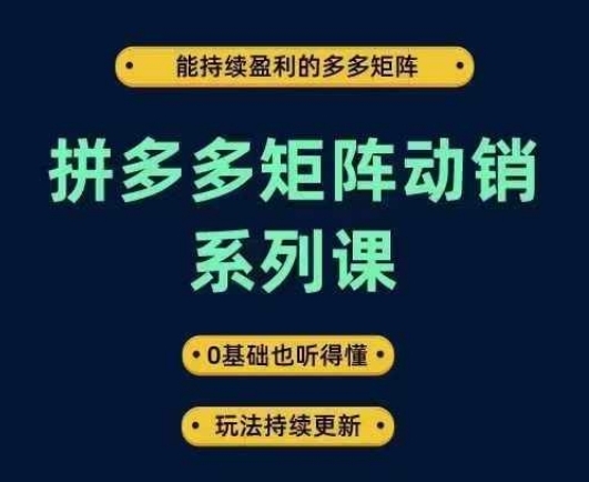 拼多多矩阵动销系列课，能持续盈利的多多矩阵，0基础也听得懂，玩法持续更新 - 163资源网-163资源网