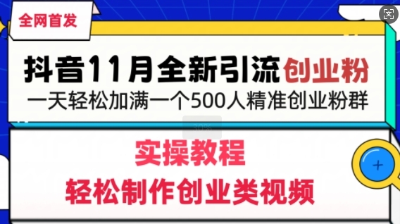 抖音全新引流创业粉，轻松制作创业类视频，一天轻松加满一个500人精准创业粉群 - 163资源网-163资源网