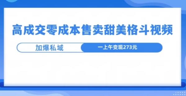 高成交零成本，售卖甜妹格斗视频，可以实现日入过k - 163资源网-163资源网