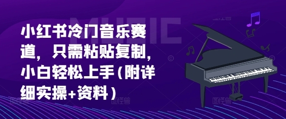 小红书冷门音乐赛道，只需粘贴复制，小白轻松上手(附详细实操+资料) - 163资源网-163资源网