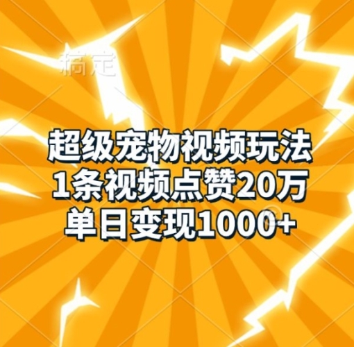 超级宠物视频玩法，1条视频点赞20万，单日变现1k - 163资源网-163资源网