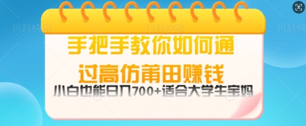 手把手教你如何通过莆田鞋挣钱，小白也能日几张，适会大学生宝妈 - 163资源网-163资源网