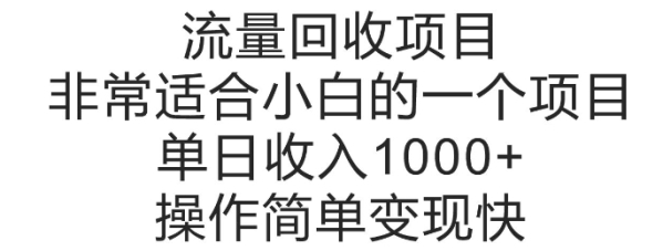 流量回收项目，非常适合小白的一个项目单日收入多张，操作简单变现快 - 163资源网-163资源网