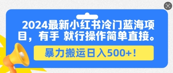 2024最新小红书冷门蓝海项目，有手就行操作简单直接，暴力搬运日入500+ - 163资源网-163资源网