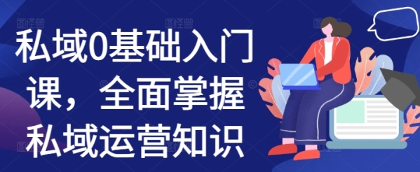 私域0基础入门课，全面掌握私域运营知识 - 163资源网-163资源网