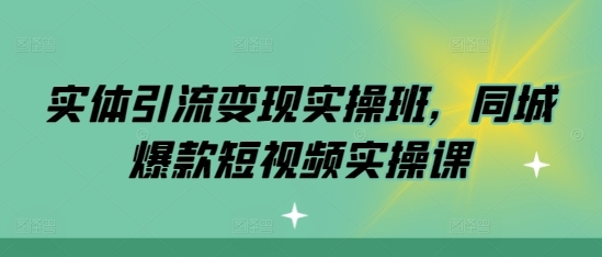 实体引流变现实操班，同城爆款短视频实操课 - 163资源网-163资源网