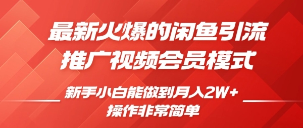 闲鱼引流推广影视会员，0成本就可以操作，新手小白月入过W+【揭秘】 - 163资源网-163资源网