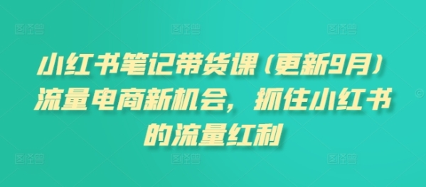 小红书笔记带货课(更新11月)流量电商新机会，抓住小红书的流量红利 - 163资源网-163资源网