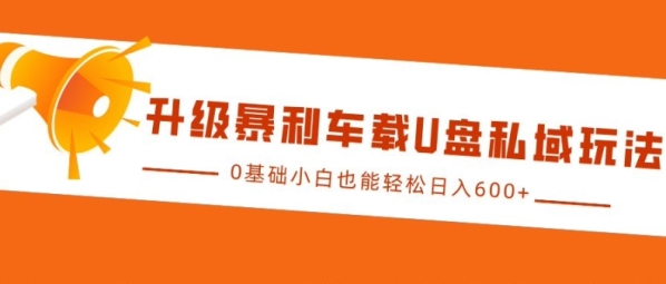 升级暴利车载U盘私域玩法，0基础小白也能轻松日入多张【揭秘】 - 163资源网-163资源网