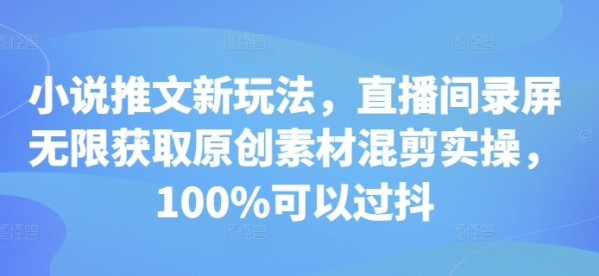 小说推文新玩法，直播间录屏无限获取原创素材混剪实操，100%可以过抖 - 163资源网-163资源网