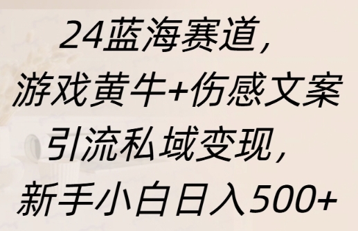 蓝海赛道，游戏黄牛+伤感文案引流私域变现，新手小白日入多张 - 163资源网-163资源网