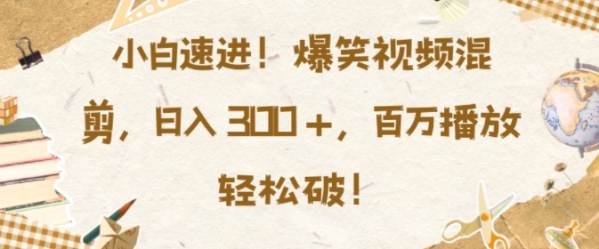 小白速进，爆笑视频混剪，日入3张，百万播放轻松破【揭秘】 - 163资源网-163资源网