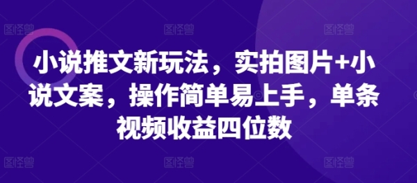 小说推文新玩法，实拍图片+小说文案，操作简单易上手，单条视频收益四位数 - 163资源网-163资源网