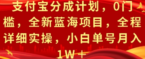 支付宝分成计划，0门槛，全新蓝海项目，全程详细实操，小白单号月入1W+ - 163资源网-163资源网