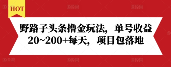 野路子头条撸金玩法，单号收益20~200+每天，项目包落地 - 163资源网-163资源网