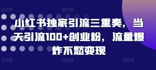 小红书独家引流三重奏，当天引流100+创业粉，流量爆炸不愁变现【揭秘】 - 163资源网-163资源网