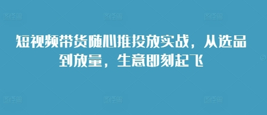 短视频带货随心推投放实战，从选品到放量，生意即刻起飞 - 163资源网-163资源网