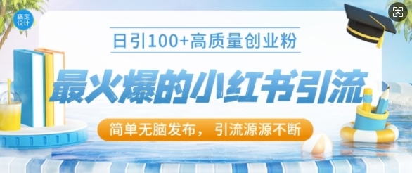 最火爆的小红书引流，日引100+高质量创业粉 - 163资源网-163资源网