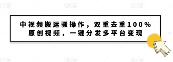 中视频搬运骚操作，双重去重100%原创视频，一键分发多平台变现，新手小白无脑操作 - 163资源网-163资源网