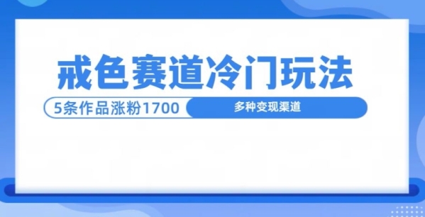 新号5条作品涨粉1600+，戒色赛道冷门玩法，教程送你 - 163资源网-163资源网