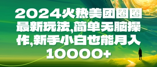 2024火热美团圈圈最新玩法，简单无脑操作，新手小白也能月入1w - 163资源网-163资源网