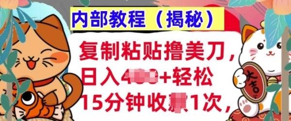 复制粘贴撸美刀，日入多张，内部教程(揭秘)，懒人捡钱，长期自动收入 - 163资源网-163资源网