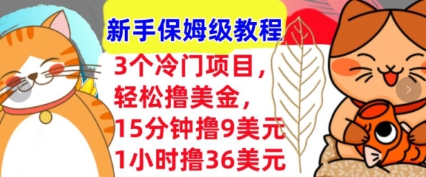 3个冷门项目，轻松撸美刀，1小时撸36刀，新手保姆级教程 - 163资源网-163资源网