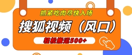 搜狐视频，新风口，1天200-500收益，抓紧吃肉! - 163资源网-163资源网