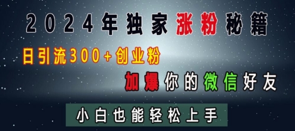 2024年独家涨粉秘籍，日引流300+创业粉，加爆你的微信好友，小白也能轻松上手 - 163资源网-163资源网