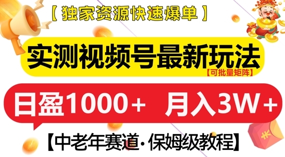 实测视频号最新玩法，中老年赛道，独家资源，月入过W+【揭秘】 - 163资源网-163资源网