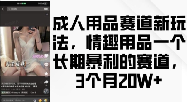 成人用品赛道新玩法，情趣用品一个长期暴利的赛道，3个月收益20个【揭秘】 - 163资源网-163资源网