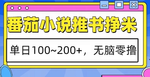 番茄小说推书挣米，单日100-200+，无脑零撸，实操流程 - 163资源网-163资源网