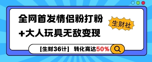 【生财36计】全网首发情侣粉打粉+大人玩具无敌变现 - 163资源网-163资源网