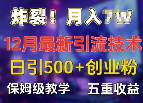 炸裂!揭秘12月最新日引流500+精准创业粉，多重收益保姆级教学 - 163资源网-163资源网