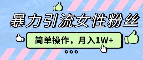 操作“零难度”小众项目，疯狂引流女性粉丝，月入轻松破 1W+ - 163资源网-163资源网